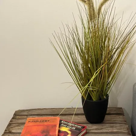 A Place To Stavanger, 1 Appartement Stavanger